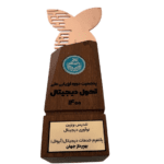 تندیس برنزین نوآوری دیجیتال در پنجمین دوره ارزیابی ملی تحول دیجیتال سال 1400